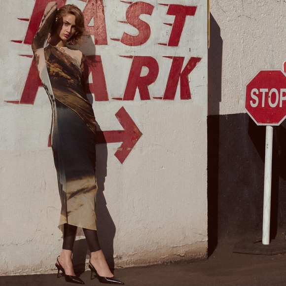 ZARA TULLE DRESS - Picture 6 of 6